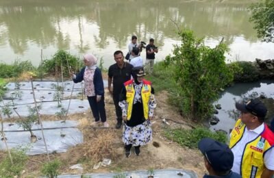 Wali Kota Illiza Tinjau Drainase dan Jalan, Antisipasi Dampak Hidrometeorologi