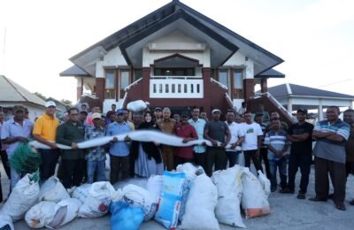 WhatsApp Image 2026-10-07 at 14.52.25